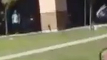 La intervención del Marine.