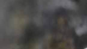 Un diamante descubre elementos únicos a los científicos.