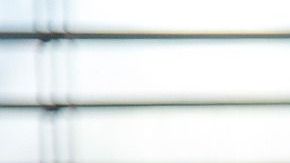 Dependiendo tu signo, las plantas harán un efecto especial en tu hogar.