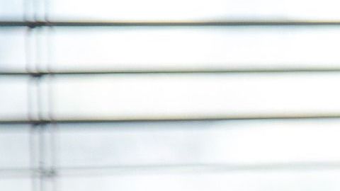 Dependiendo tu signo, las plantas harán un efecto especial en tu hogar.