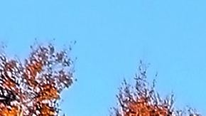 Los colores del otoño.