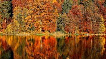Los colores del otoño.