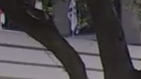 Varios pisos del hotel fueron desalojados.