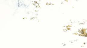 Todos los neoyorquinos merecen cobertura de salud asequible y de calidad.