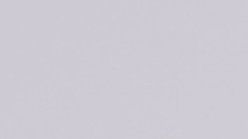 shutterstock_1054688114