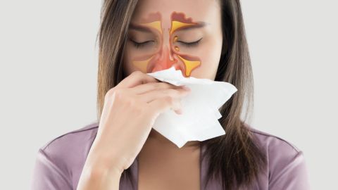 shutterstock_1099461335