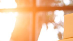 La mujer creyó que eran piedras decorativas para baño.