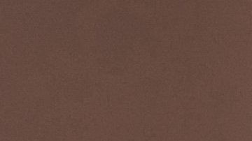 Llevar tus juguetes sexuales contigo puede no ser buena idea.