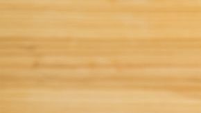 shutterstock_1228880221