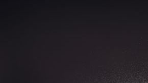 shutterstock_1371865370