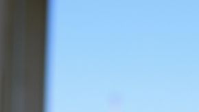 shutterstock_318487943