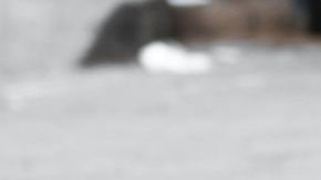 La mujer comenzó a sentirse mal cuando desmembraba el cuerpo de su esposo.