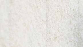 shutterstock_363299582