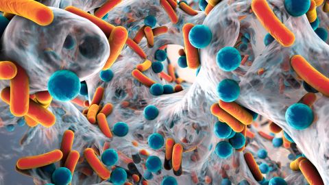 bacterias