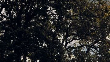 shutterstock_472595719