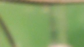 3 miembros de la misma familia ganaron el mismo premio con solo unas horas de diferencia.