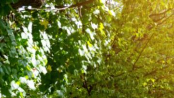 shutterstock_552655543