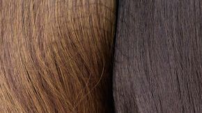 shutterstock_616815365