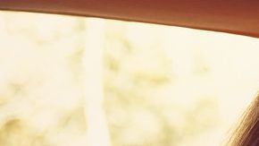 shutterstock_641921188