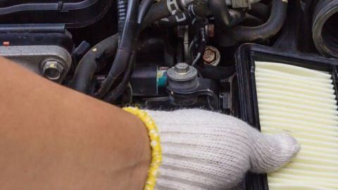 shutterstock_658325251