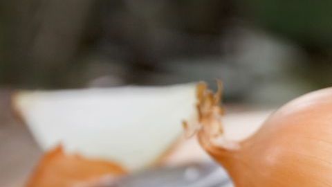 La cebolla aporta maravillosas propiedades antianémicas, debido a su alto contenido en fósforo, hierro y vitamina E; dichos compuestos ayudan a reponer la pérdida de sangre y regeneran los glóbulos rojos.