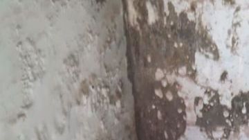 Sicarios matan a hombre dentro de cementerio y lo dejan dentro de una tumba