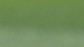 Diego Simeone dirige el entrenamiento previo al encuentro ante la Real Sociedad.