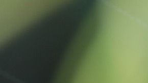 Las arañas de casa rara vez son ponzoñosas.