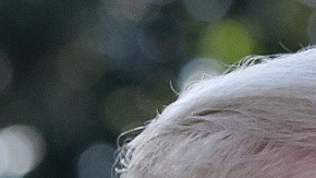 El presidente Trump y la activista Greta Thunberg.