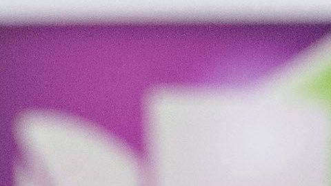 Ricardo Ferreti, el polémico técnico de los Tigres de la UANL.