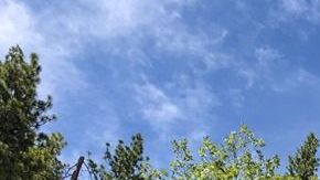 El Incendio Walker se localiza cerca de Wheeler Peak en el Parque Nacional Plumas.