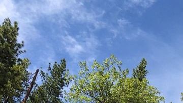 El Incendio Walker se localiza cerca de Wheeler Peak en el Parque Nacional Plumas.