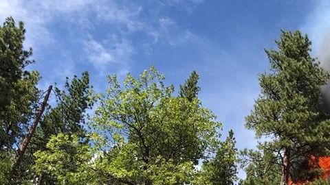 El Incendio Walker se localiza cerca de Wheeler Peak en el Parque Nacional Plumas.