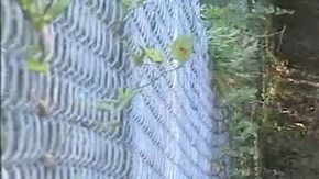 Vecinos se han unido al rastreo