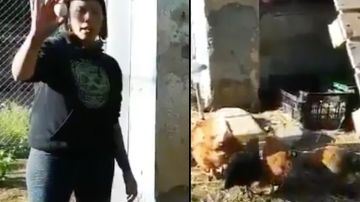 Imágenes del video del grupo vegano.