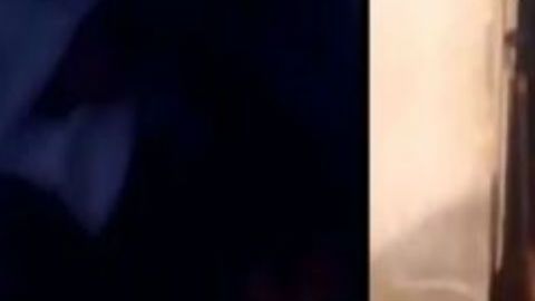 VIDEO: Acusan a mujer de vender tacos de carne de perro, tenía varios canes muertos en nevera