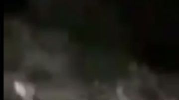 VIDEO: Sicarios de La Nueva Familia Michoacana golpea, tortura y mata a 53 personas