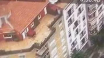 Las cámaras descubrieron el plantío en una de las principales avenidas de Barcelona.