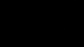 Varias personas ya se encuentran acampando en el lugar.