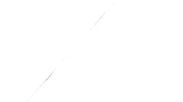 El Censo pide al DMV datos sobre nacimientos, direcciones, raza, origen hispano y ciudadanía.