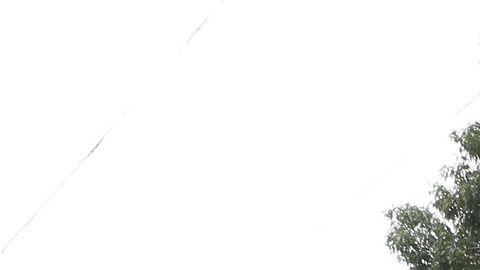 El Censo pide al DMV datos sobre nacimientos, direcciones, raza, origen hispano y ciudadanía.