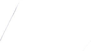 Algo que frustra a los ciudadanos son las interminables horas de espera en el DMV.