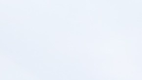 Crown Heights, Brooklyn, NYC/Archivo