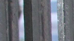 Tras el anuncio de nuevas carteles exigen resolver la crisis con los desamparados.