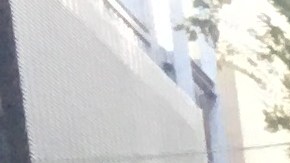 Tras el anuncio de nuevas carteles exigen resolver la crisis con los desamparados.