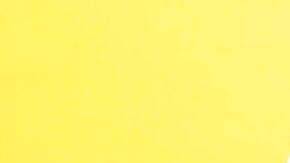 El aguacate es uno de los ingredientes más representativos de la gastronomía en México, existen grandes aliados fáciles y naturales para conservarlo mejor.