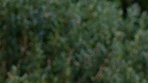 La Cámara de Representantes inició una investigación contra Trump.