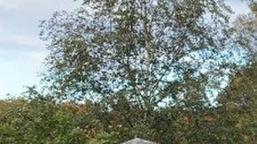 Los diálogos se estaban desarrollando en la isla de Lidingo.