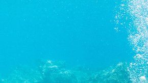 109130531__109129125_gettyimages-1135478132