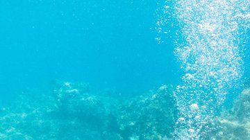 109130531__109129125_gettyimages-1135478132